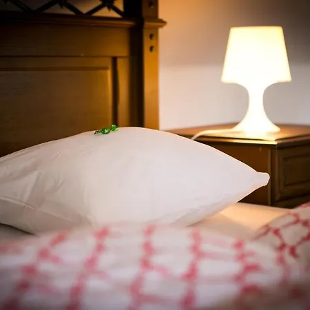 招待所 扎目克公寓