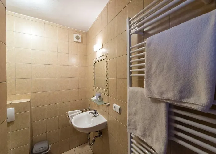 U Zamku Pensionat 3*